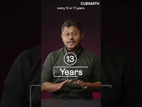 These insects use math to survive!