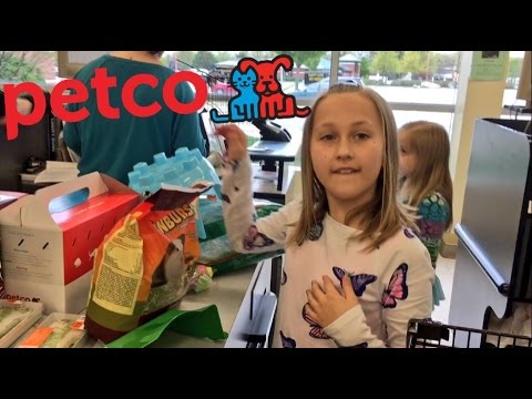 YouTube video about: Does petco neuter guinea pigs?