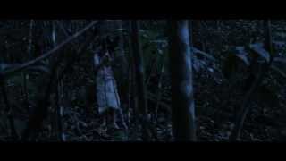 ELECTRIC SASQUATCH NEW ALBUM 2014