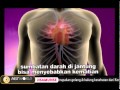 Solusi Segala Penyakit Gelang Kalung Kesehatan Jisamunse By FASTWORLD DRTV