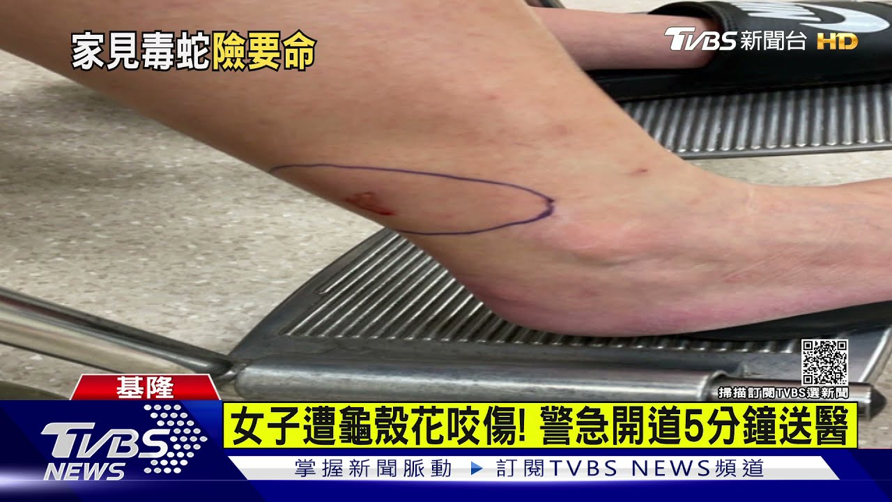 妻子遭龜殼花咬傷！　丈夫憂毒發求救警急開道5分鐘送醫