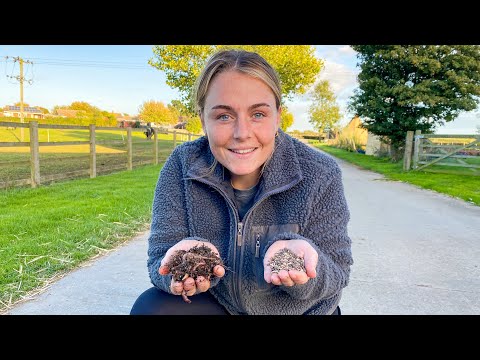 Adding Biology To My Cover Crop Seed With Worm Castings - Flower Farming UK