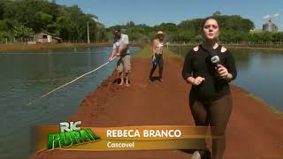 Miniatura do vídeo