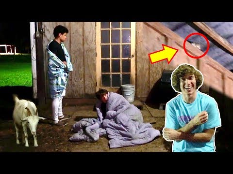 download lagu mp3 mp4 In The Barn, download mp3 In The Barn free download, download mp3 In The Barn