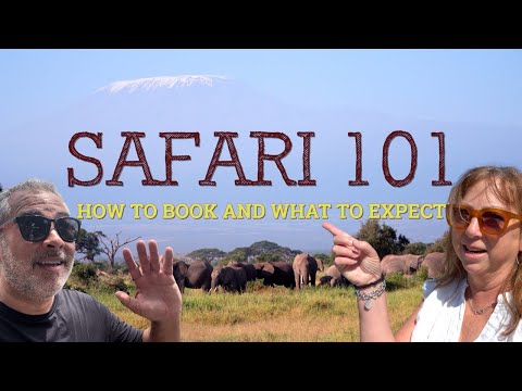 Safari 101 | How To Book Your Epic Adventure!