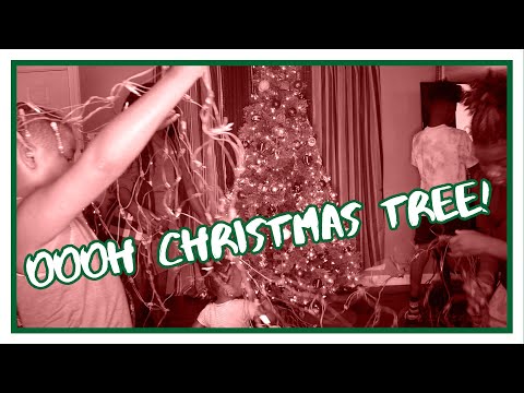 WE FINALLY PUT UP OUR CHRISTMAS TREE! 5 DAYS OF CHRISTMAS DAY 2