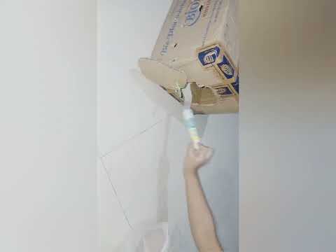 Cute baby Cat | Cat Funny Video | SN Motion |