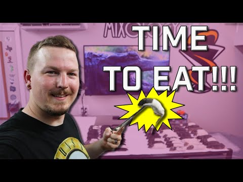 HOW I FEED OVER 100 SNAKES!!! | Mixology #122