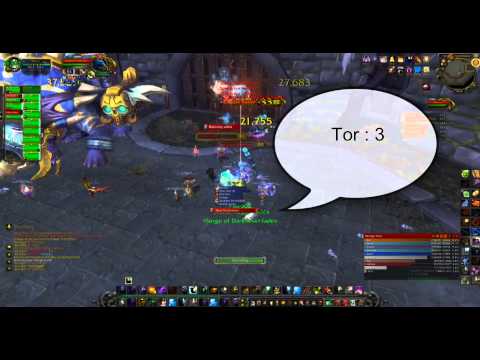 WoW: Horridon heroic (hc) Guide