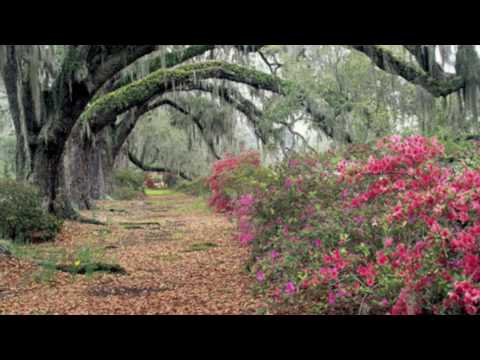 April is in my Mistress' face – Thomas Morley