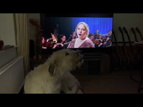 Danielle MacDonald duets with Walterotti in Falling for Figaro