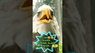 Download lagu INI LHO SUARA BURUNG ELANG😅😅KALO GACOR😁😁.#kurniawankicaugresik#yearofyou#shorts mp3 Download lagu INI LHO SUARA BURUNG ELANG😅😅KALO GACOR😁😁.#kurniawankicaugresik#yearofyou#shorts mp3