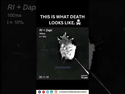 Apoptosis: The Science of Controlled Cell Death & Its Genetic Secrets 🧬🔬