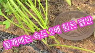 예초기 원형톱날로 들깨,참깨,고추대,콩대 후다닥 벨수 있습니다