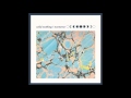 Wild Nothing - Shadow 
