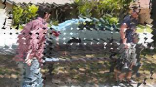 purse napper picture movie