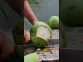 Fantastic Coconut Peeling Style
