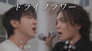 Download lagu 『ドライフラワー』 優里×ジョン・ヨンファ(CNBLUE) ｜ 유우리 × 정용화 mp3