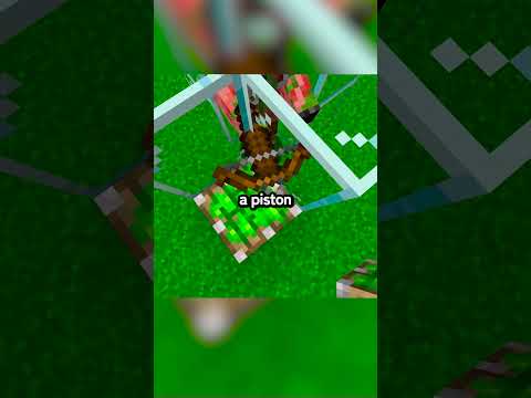 🌟 BEST Minecraft Gold Farm Tutorial! 🌟