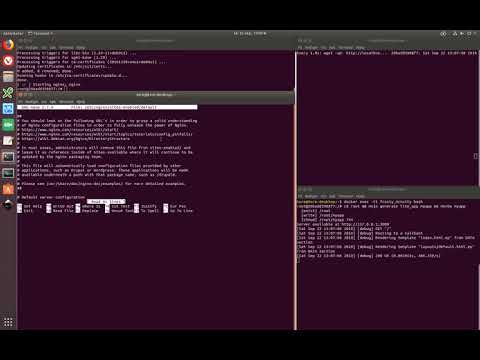 Mojolicious with nginx in less than 5 minutes