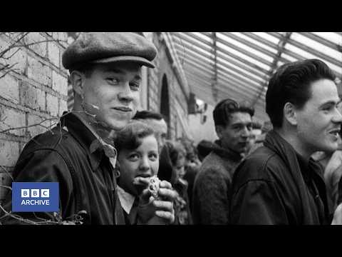 1951: Christmas Day, 1951 | Newsreel | BBC Archive