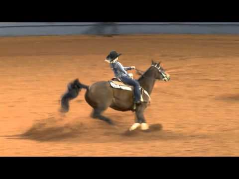 2014 AQHA World -