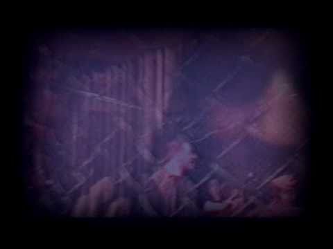 Popcore Experience  - To New Flesh (1997)