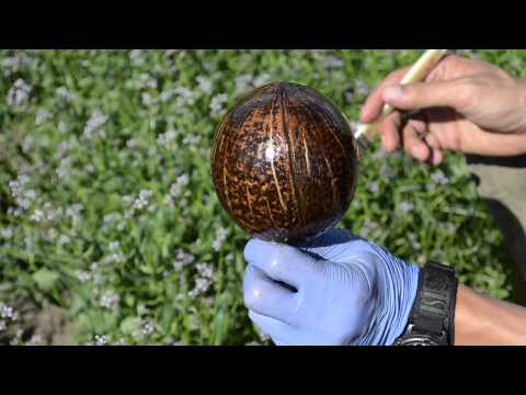 IrieChalice - How It's Made