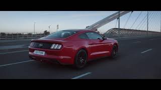 Ford Mustang - The Road Awaits