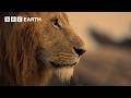 An Adventure Through Africa In 4K BBC Earth