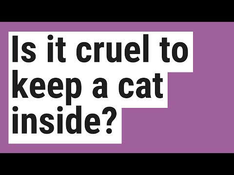 Is it cruel to keep a cat inside?