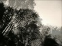 Straumnes - Sigur Rós