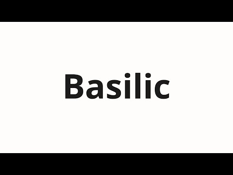 How to pronounce Basilic