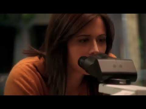 threshold 1.evad  11.resz A küszöb