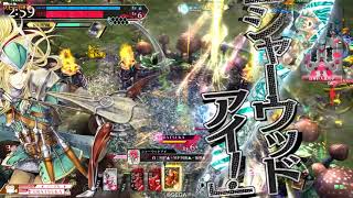 自己満足動画(15) ロビン
