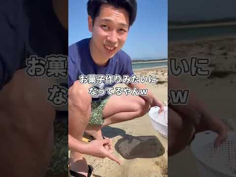 北極の深海はマイクロプラスチックの「貯蔵庫」