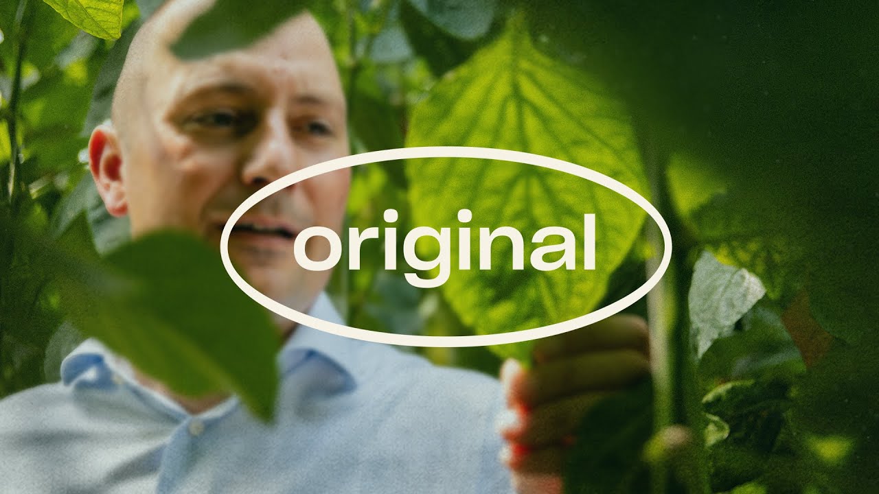 Video preview poster