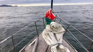 Drake Dolphins In My Heaven