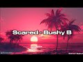 Scared Bushy B Slowed And Reverb With Lyrics