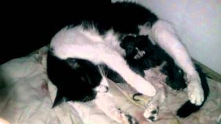 Four is the magic number...