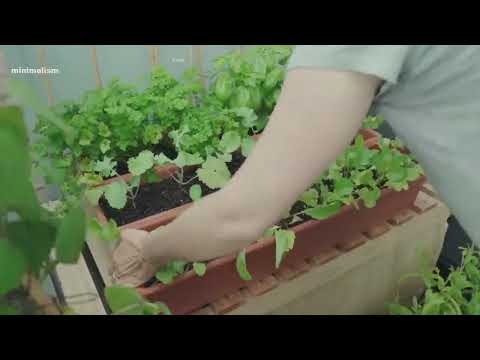 Growing TONS of FOOD in a Super Small Garden – Balcony Container Garden Tour_R