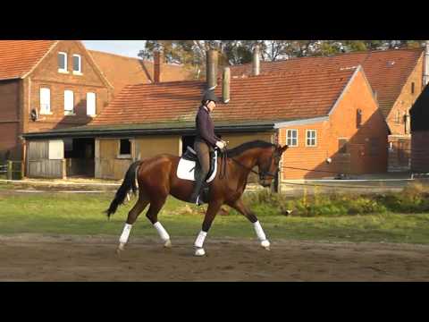 Riccione x Florestan Trab