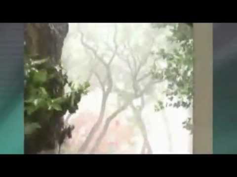 Granizo rompió centenar de techos y mató palomas en Treinta y Tres, Uruguay (21/3/12)