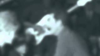 'Watussi' by Peter D'Adamo