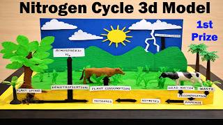 nitrogen cycle 3d model making | science project  | diy | howtofunda | still model