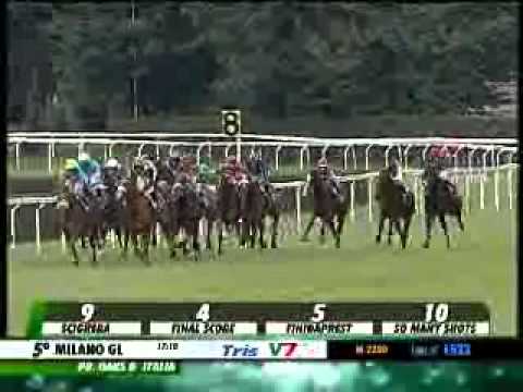 25/05/2014, Milano , Premio Oaks D'italia Tris Str.