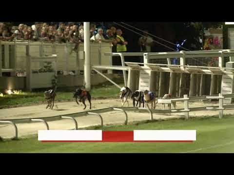 2023.09.01. 9. Futam - Lyreen Mover IX. futam - A1