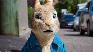 Peter's Friends Get Caught | Peter Rabbit 2: The Runaway
