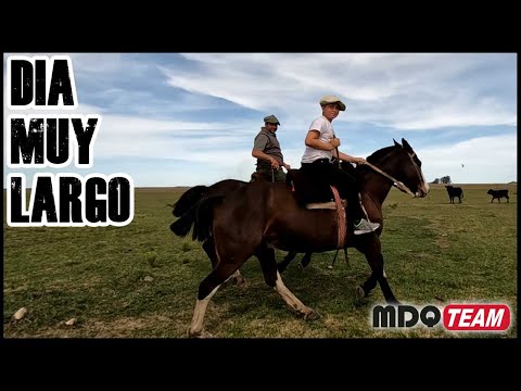 A VERY LONG DAY IN THE COUNTRYSIDE