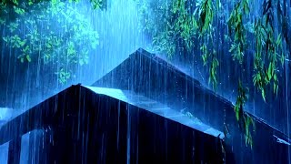Night Thunderstorm Rain Sounds - Deep Sleep & Relaxation | ASMR & Meditation